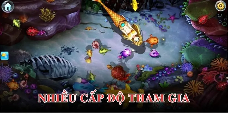 Sảnh game bắn cá với đa dạng cấp độ riêng biệt 