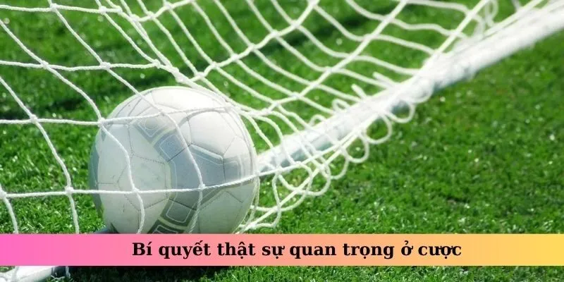 Bí quyết thật sự quan trọng ở cược