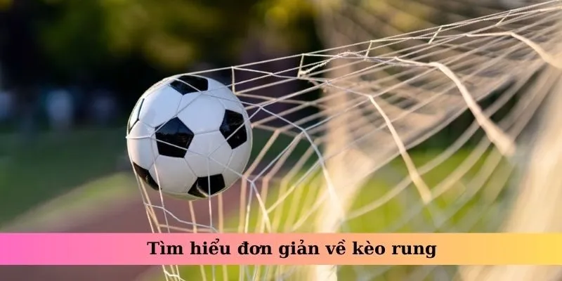 Tìm hiểu đơn giản về kèo rung